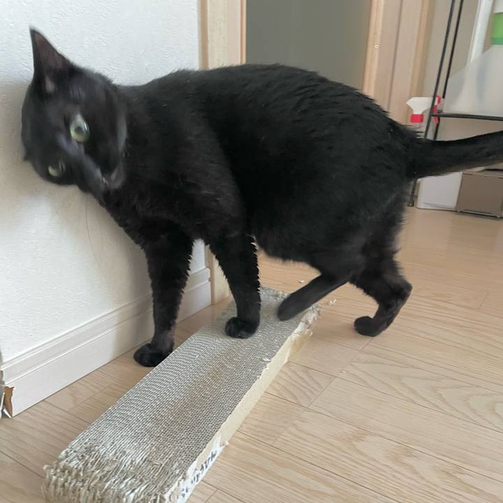 E29601e9 c566 4b61 b4ce a6a1041bed2c 1680349661326