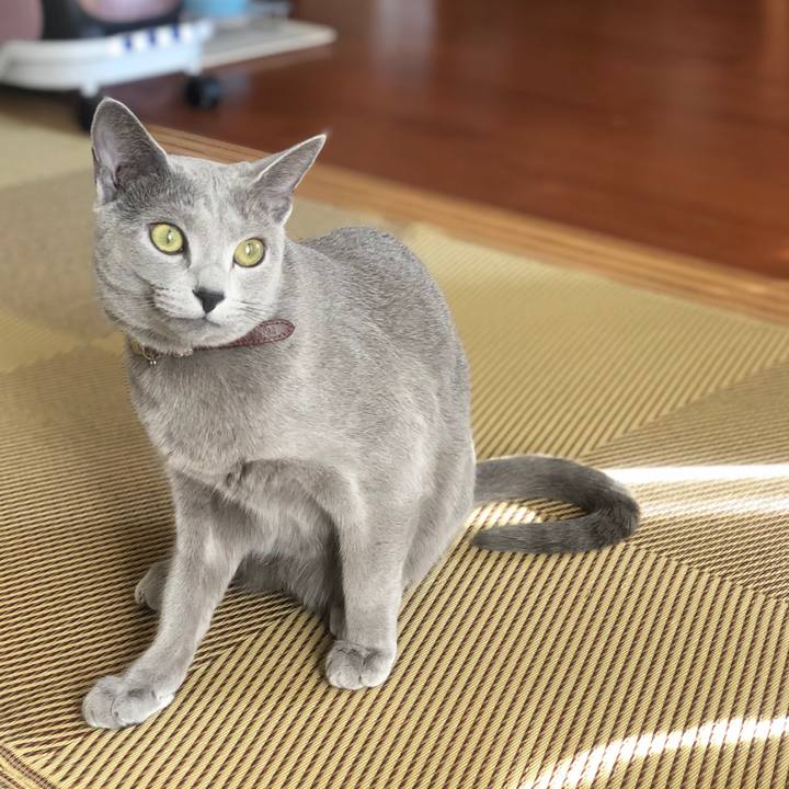 E2962684 6986 40e9 8248 00da42ad68ca 1546132888327