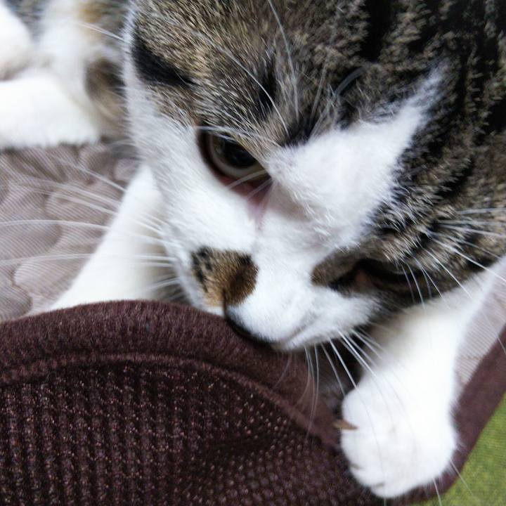 E29639b2 f230 4889 9c52 8140a27fd293 1623469700879