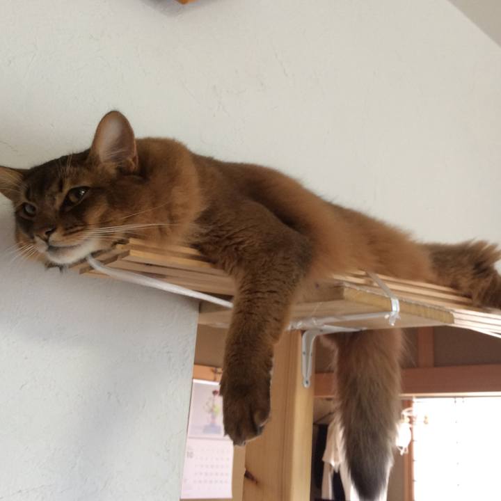 E2969cf2 aced 4f8b 8ca4 72427ac207f0 1602758916965