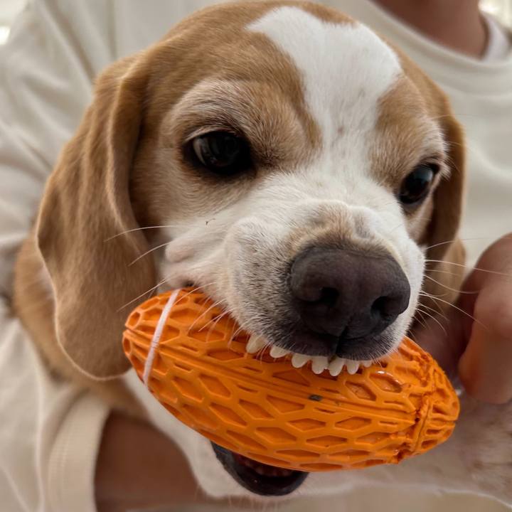 E296b653 1342 4259 ac5a d409e23281d2 1698398460407