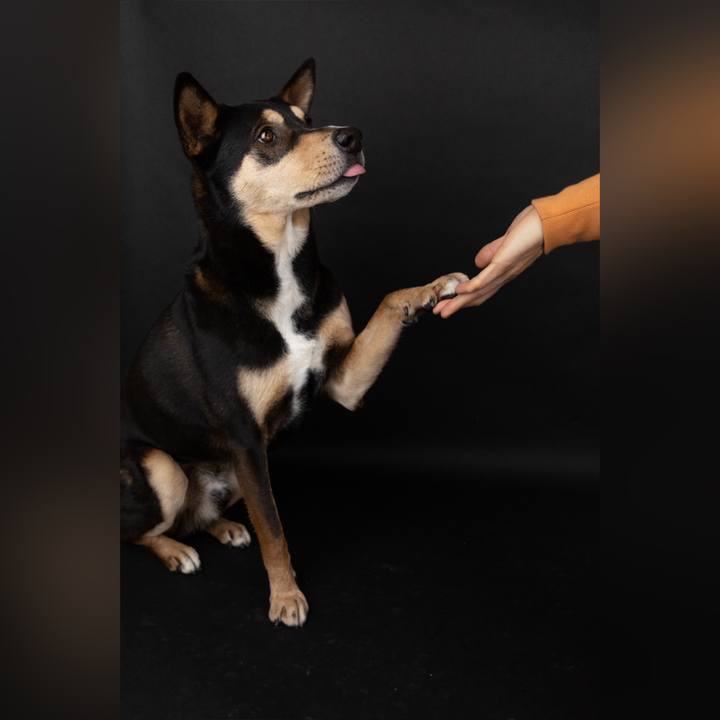 E296b977 3a85 43e2 92b7 fd3816ebffb6 1644494473519