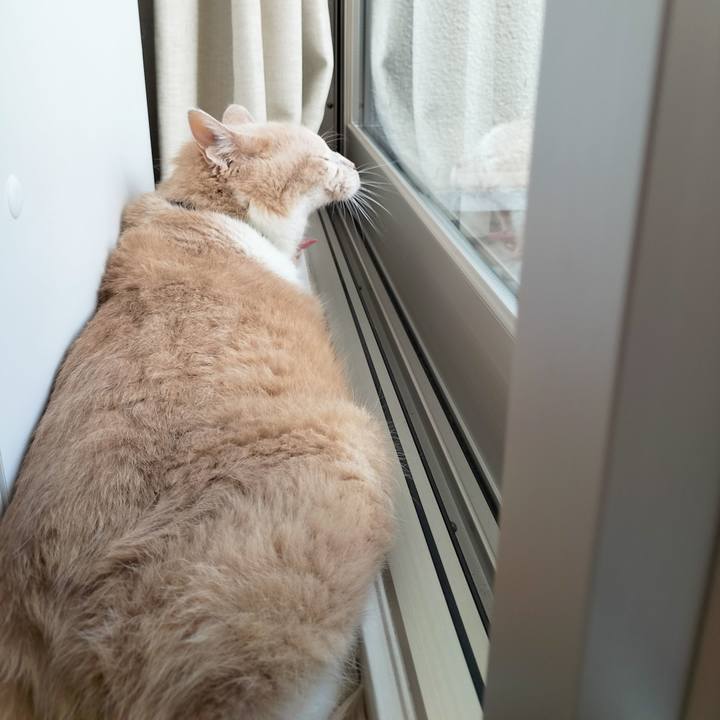 E296e2b9 094d 409e a77b db1c7700fab6 1691280433209