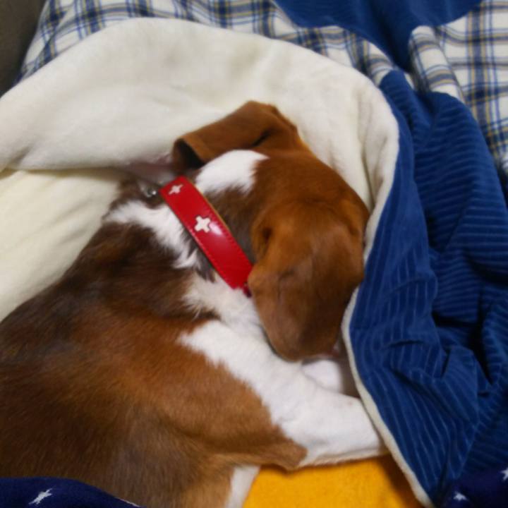 E296e9be 1bd5 4fd2 91b8 fb7d8f51ccd5 1635517799846