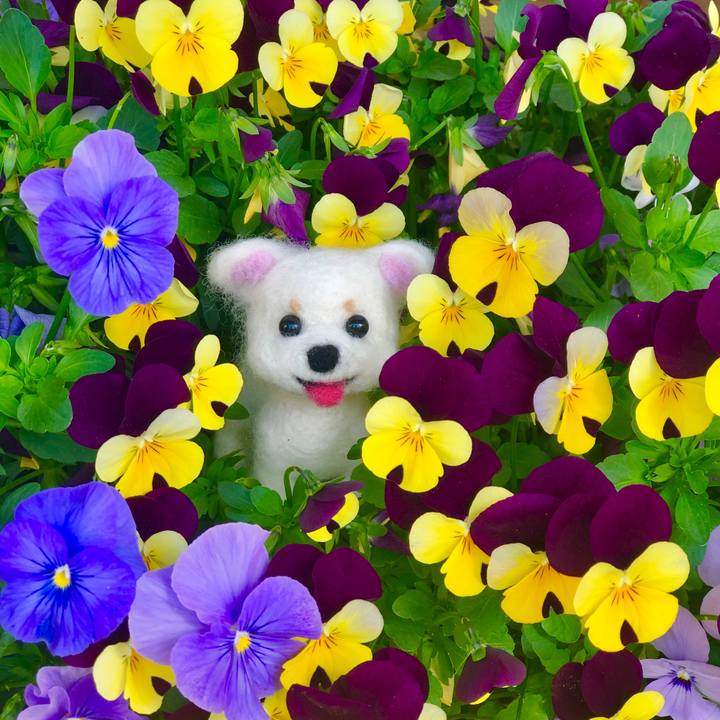 E2972e04 225e 4fa2 a841 14306769c5e1 1587885388100