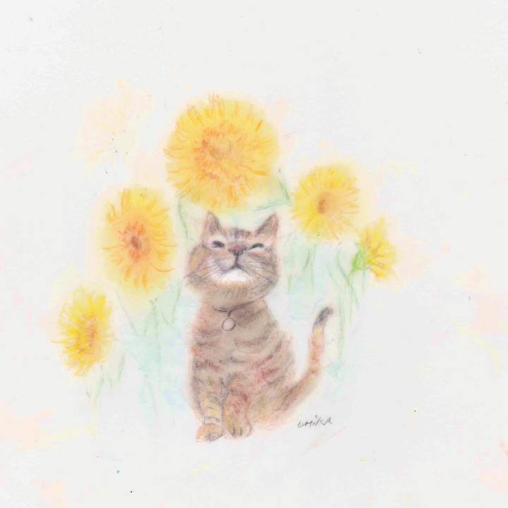 E2972e70 7d33 428d ba11 956f57217899 1581262720314