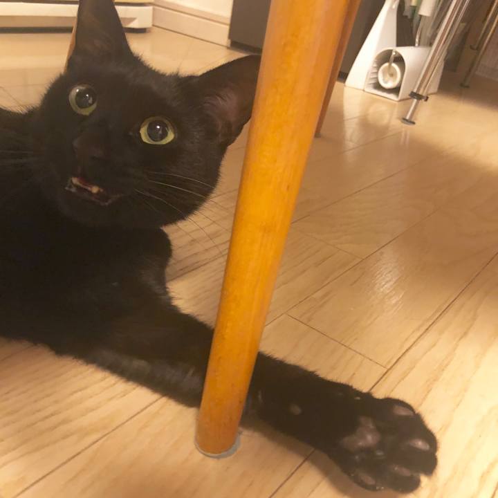 E2973ab4 c2c8 48b7 a899 4524f578c1e5 1548592711327