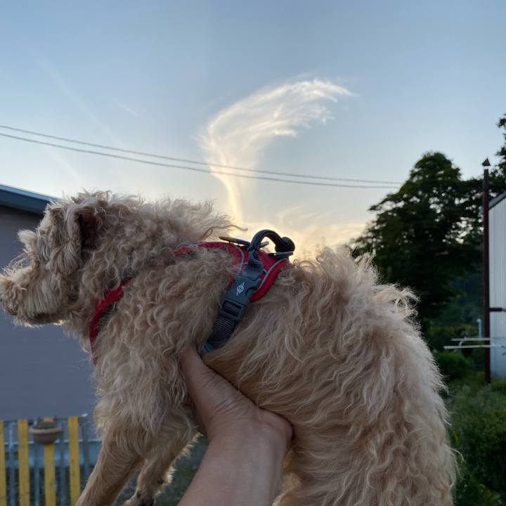 E2974d65 fc88 4903 bce4 0beed0bdc306 1662895031993