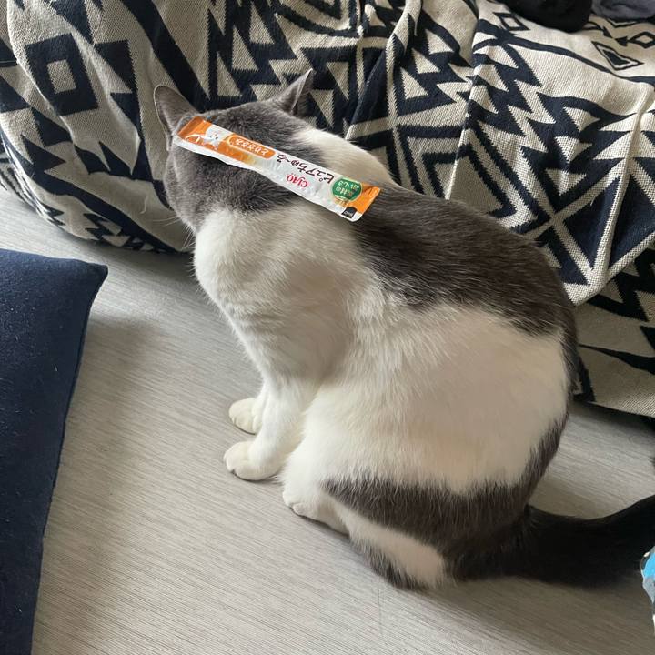 E297511e 34ea 45bd b3c0 e9022ccb9ca7 1753255057615