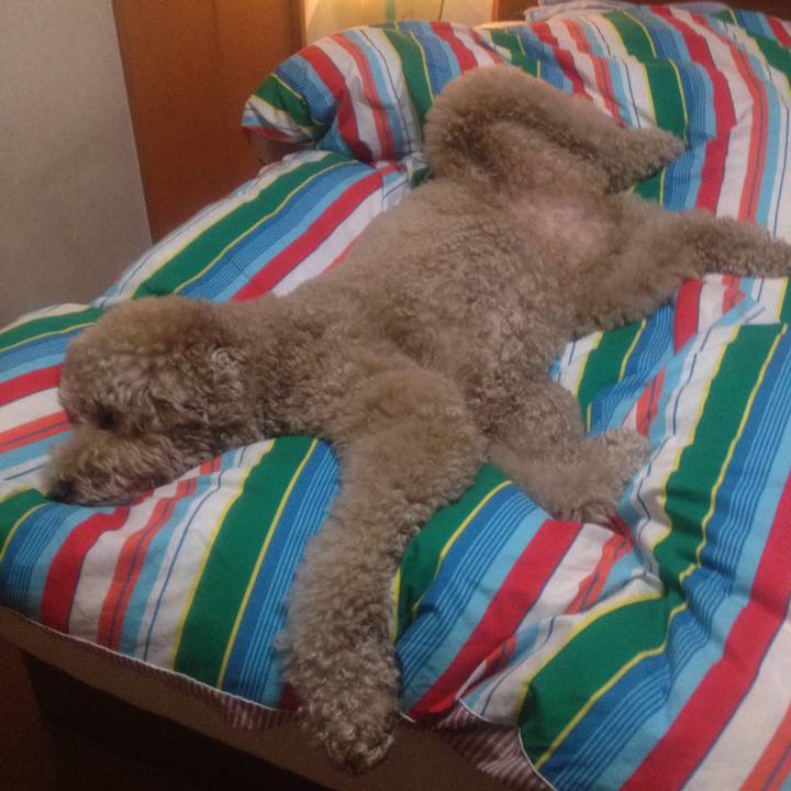 E29768d9 ee02 4e74 941c 9b64a2544c24 1517236168222