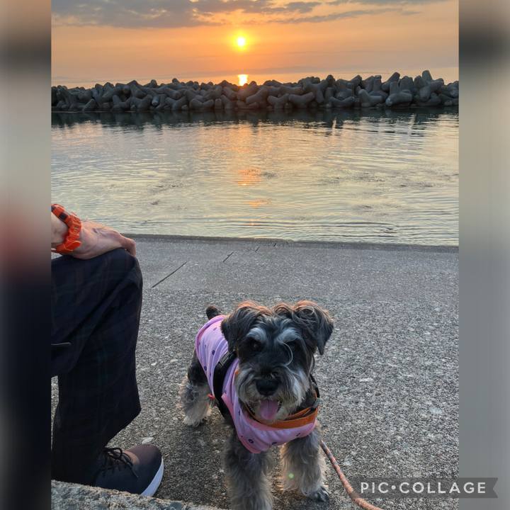 E297786e 6f97 45e3 8813 4511f472add2 1750685469523