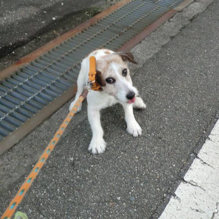 E297ae8f 302b 4f5c b1fa fd504f9ec046 1561977014429