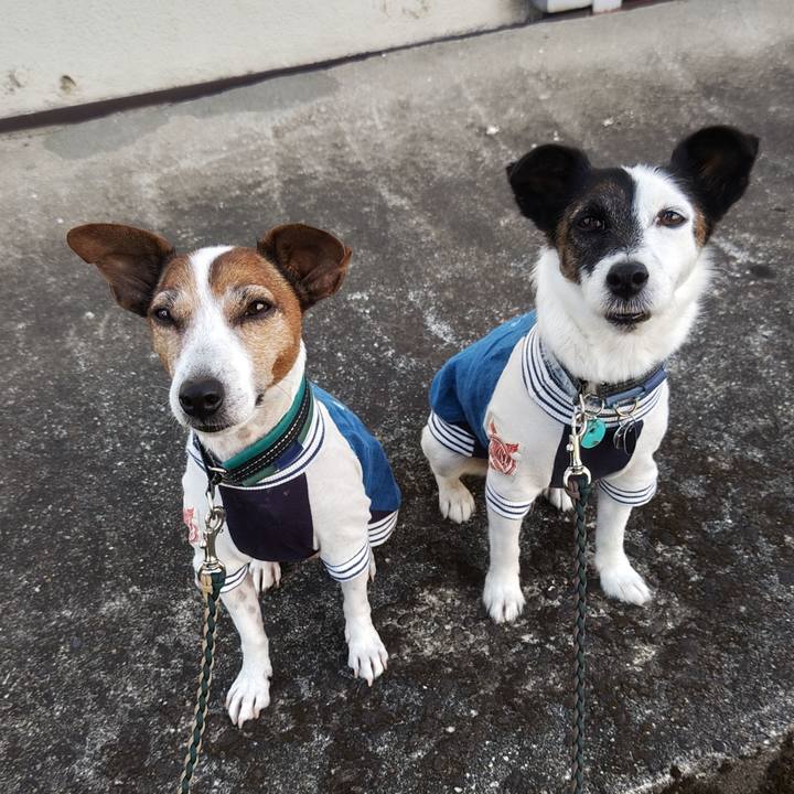 E297b6f0 2a48 4192 a6c0 7b8acc797f5a 1758579172153