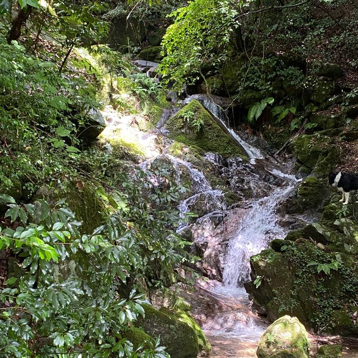 E297bda0 47a3 4175 939a cb3649087367 1627896736612