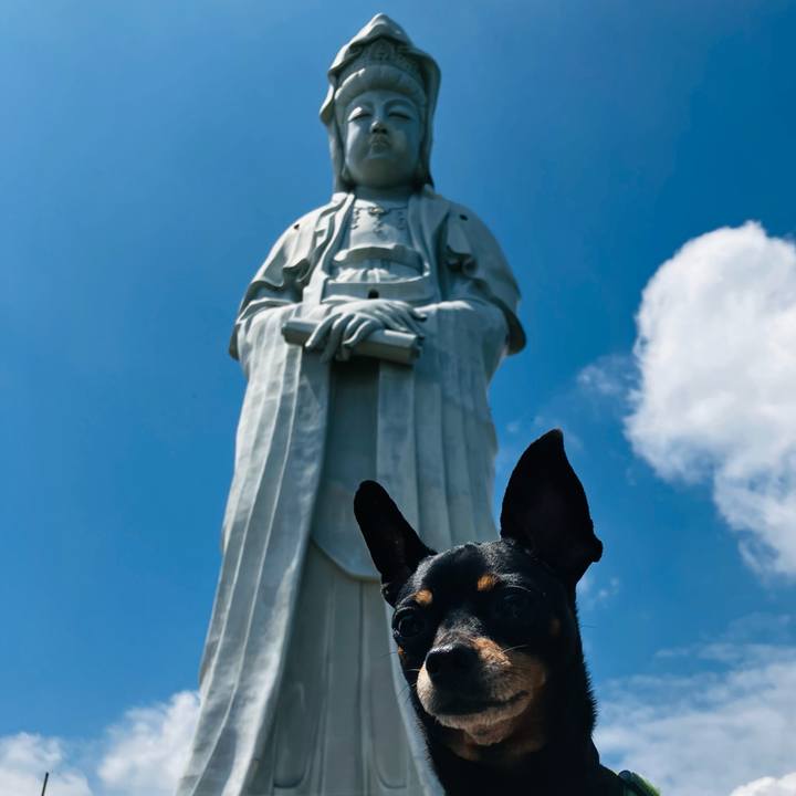 E297d052 b459 4e45 ac0d a98c2f319c1e 1745755871392