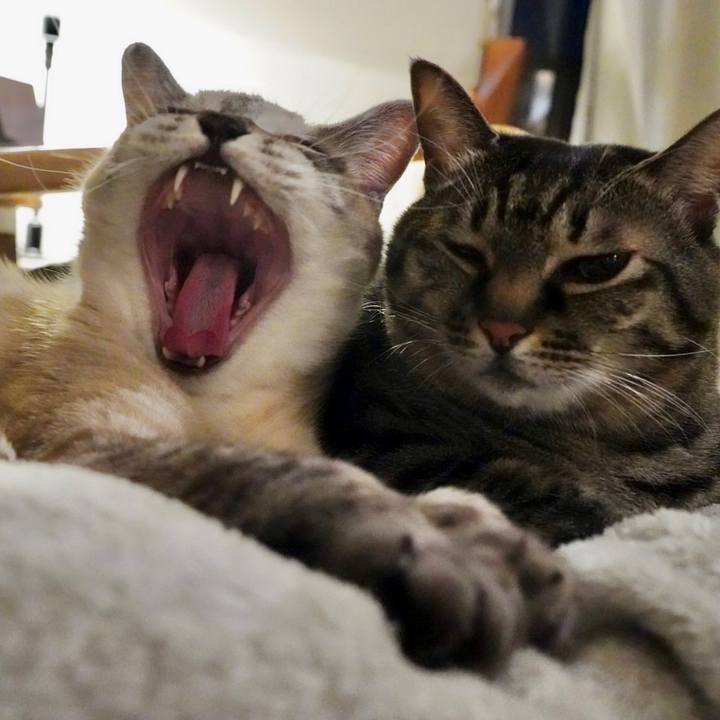 E297fe12 2b9a 41f2 9338 83918387f2b7 1670158835386