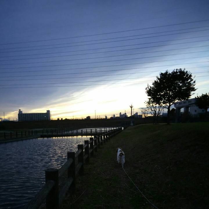 E2981d5d a0af 40c5 b748 f8438cccf020 1513067136248