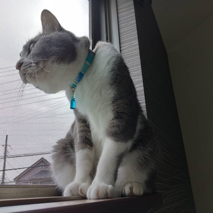 E298311c 162b 4991 8fe6 4b1fa7902141 1651893816495