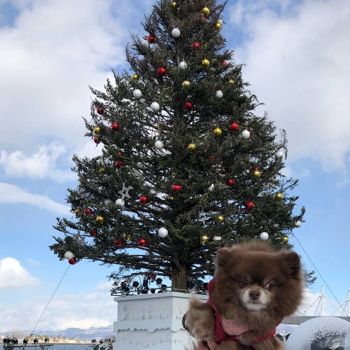 E2989a69 7644 4825 97dc 83454c15e2df 1545097927725