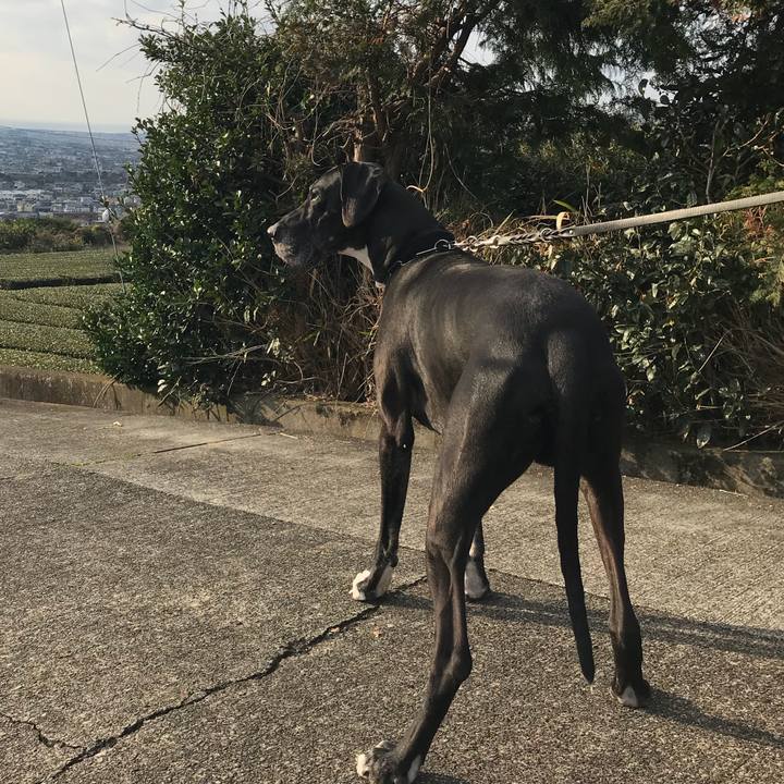 E298e0b8 f6a7 4d3f 9d0f db8d07abe7fd 1516491186008