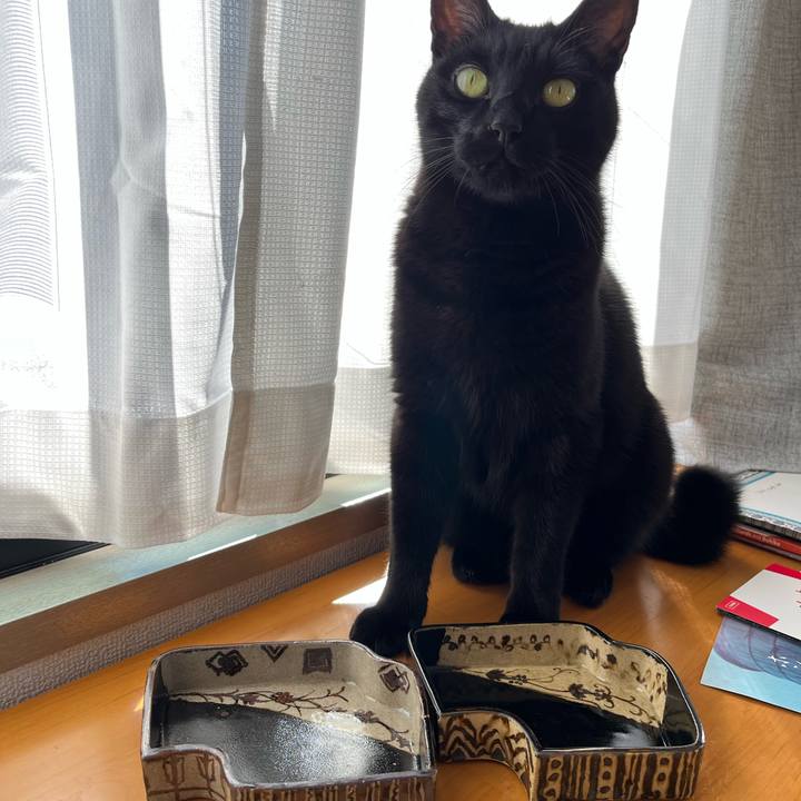 E29914bb 61fa 4f86 97cd 13874f0d98d3 1700711015850