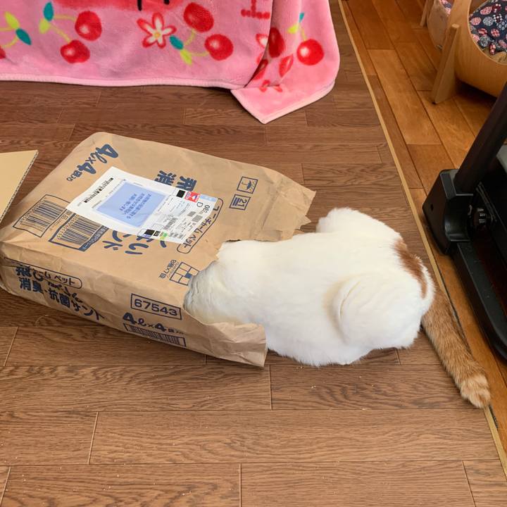 E299bc8a ef46 4419 a94a 0b5b79c7aff7 1649630641236