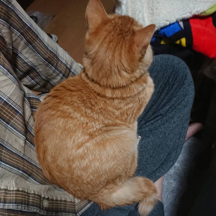 E299bc9d df8d 4ba1 8c1d 1ed8515d7f80 1636145039482