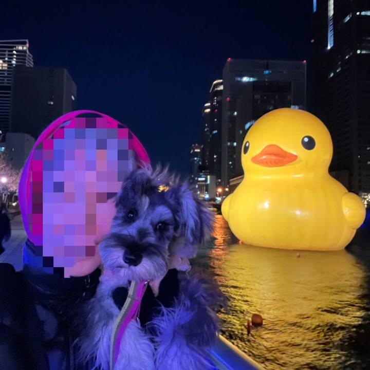 E29a0c9c ea60 4b46 8b45 3f49385a18e2 1702853323300