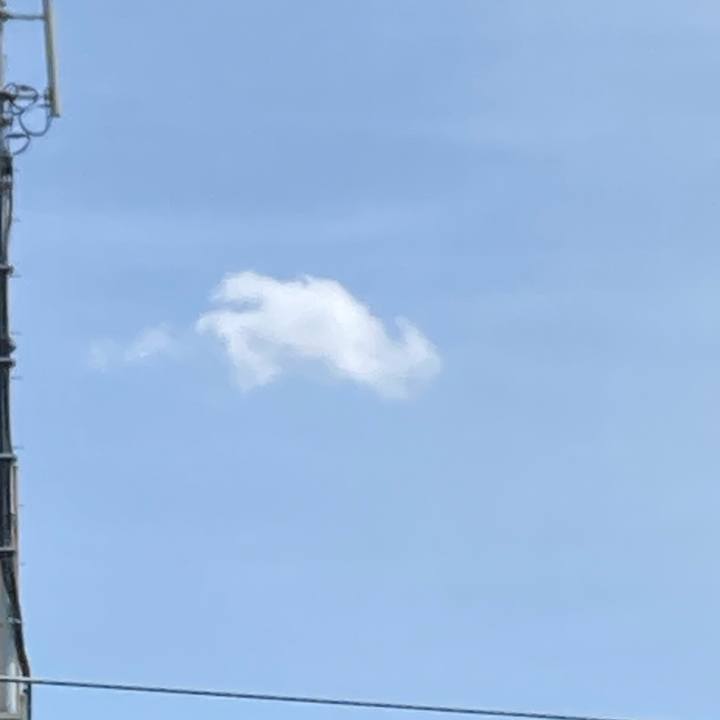 E29a1094 4cdc 4298 9833 2ca1bb30067e 1745047880205