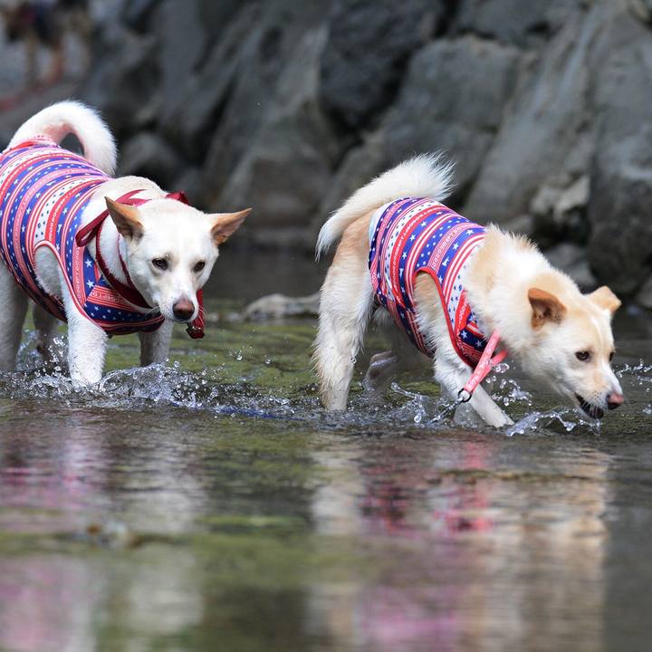 E29a10ea 8f19 41af a775 ed08dc6402fc 1532017531696