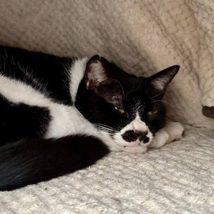 E29a2c4c 7911 4ca2 aa78 8233b21655a6 1746435156537