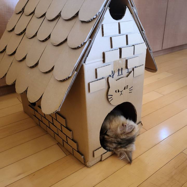 E29a319b 5886 4dd6 8df8 5613494f723d 1627618499383