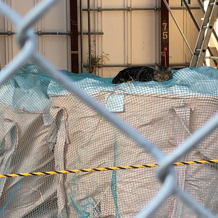 E29a4469 8954 4052 b706 47bbe2c740f0 1542588462515