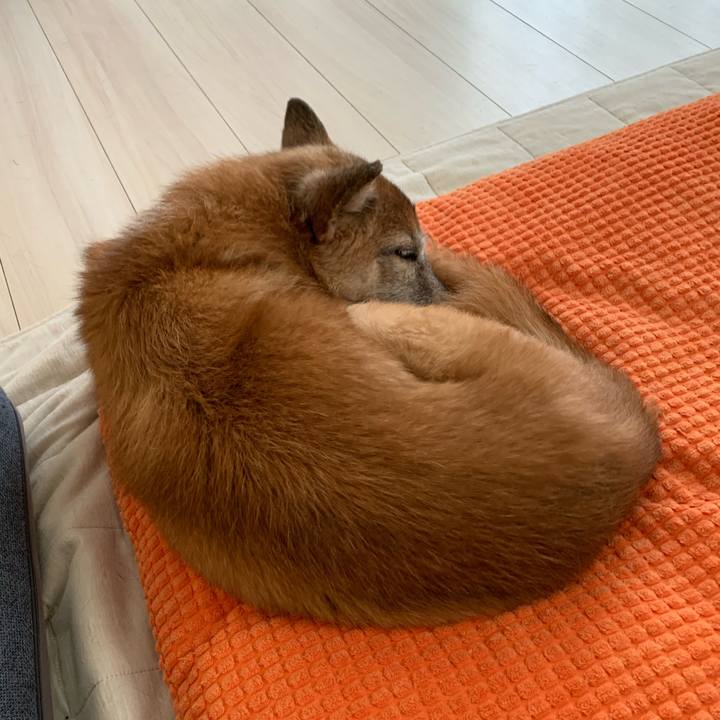 E29a77c6 a69f 419a 9d1a 9b3e4c9e8c41 1694646301448