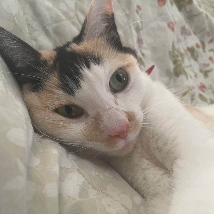 E29a97a2 befc 4570 b574 968c0ff33f54 1716975239913