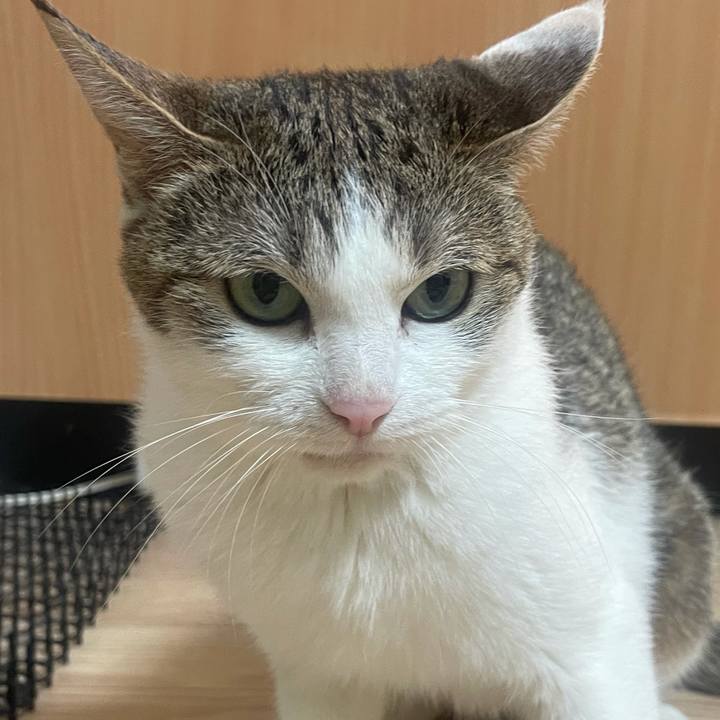 E29a9b45 1248 493c 91db 8181c277c221 1626942903242