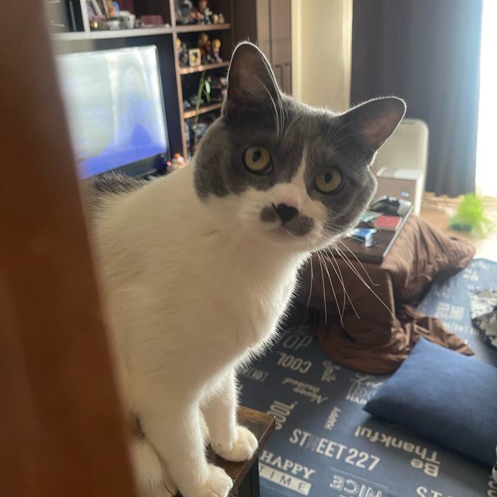 E29accb0 4d18 4447 b862 511b90614d4b 1735884943601