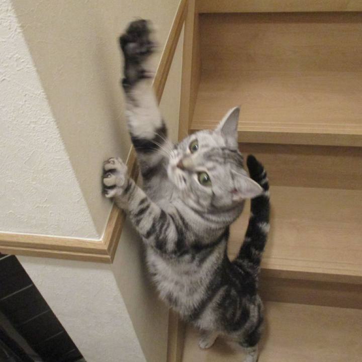 E29ad680 ed1c 44cc 932f f4c07c19d911 1560422769347