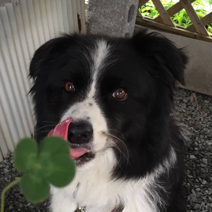 E29ae383 6ee7 48ce 91fd 5aa077f985b3 1566610841950