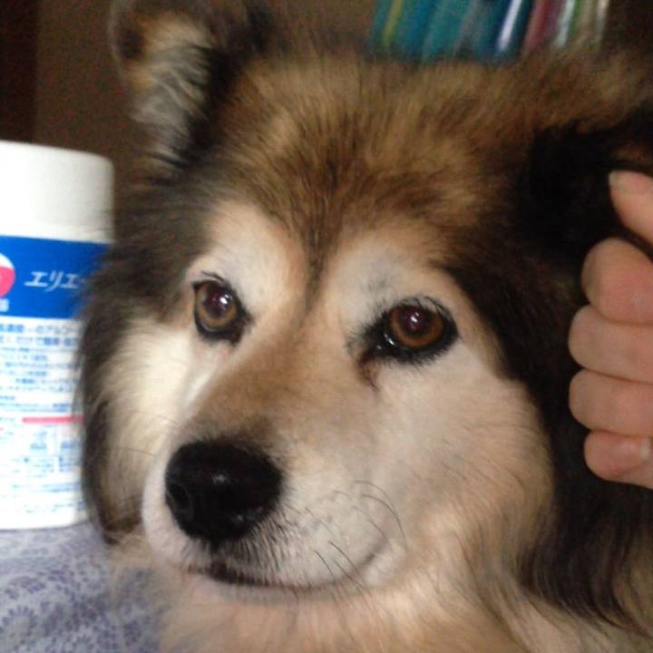 E29aeb0e f28e 42ba 9038 e12e204d9fa9 1559285189868