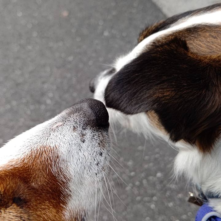 E29afb85 f964 4760 8f6f 79ab9f9c0194 1619612592084