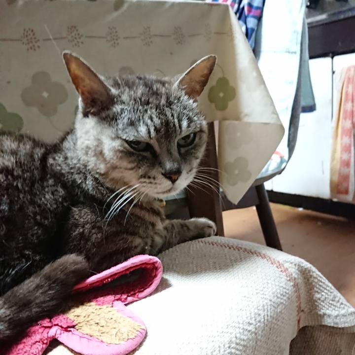 E29b5e08 e573 4138 a0bc 1fdfad011dc6 1564342846397