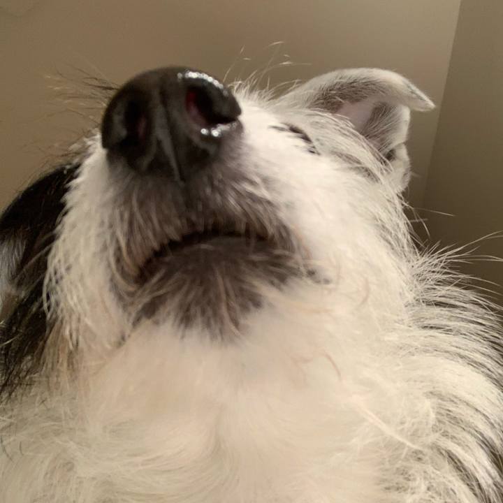 E29b5e75 3ce0 477a b44e f2c546752bb1 1587813719932