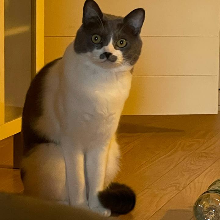 E29b7ff8 2c87 49fa bfb8 d5b1ab50d795 1627462212273