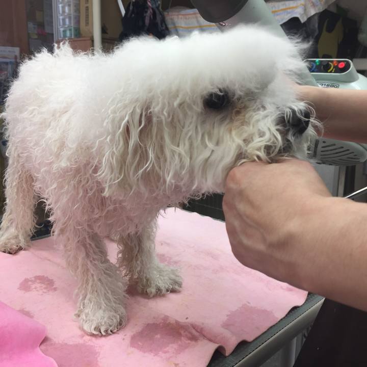 E29b83ae bcd3 4e0c aa41 d17ba12cf83b 1518424237989