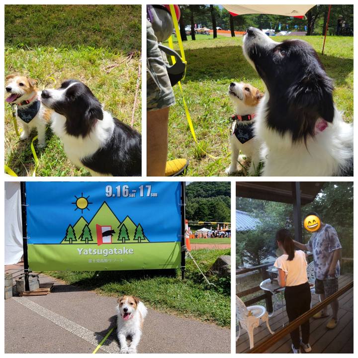 E29b878e c069 4616 a3ce e9d6a9d7e833 1695076191501