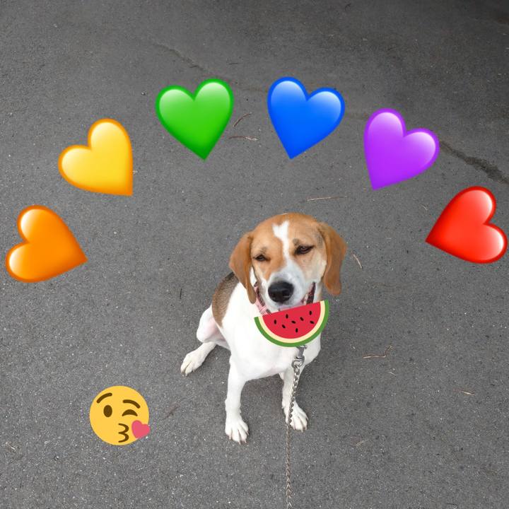 E29bb3a6 97d2 48cd 96d8 24db3ee3df2c 1596438639924