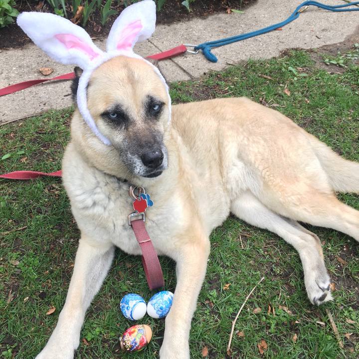 E29bb6f7 7122 4085 b792 901eef4cd05d 1555908139557