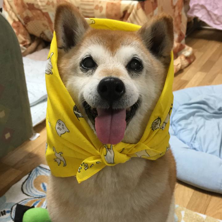 E29bd64b ee1b 471f 8b88 0079a2f4a8a4 1528196209271