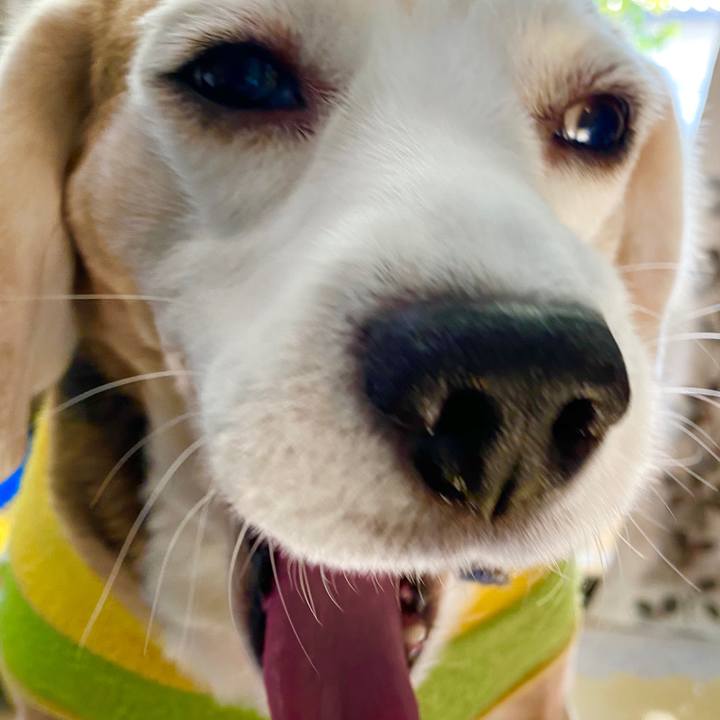 E29bd766 4b48 4d61 95a0 f3ca0ae4387b 1579233830270